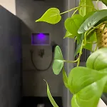 Stilvoll-fewo Mit Garten Appartement Spremberg