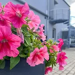 Stilvoll-fewo Mit Garten Spremberg