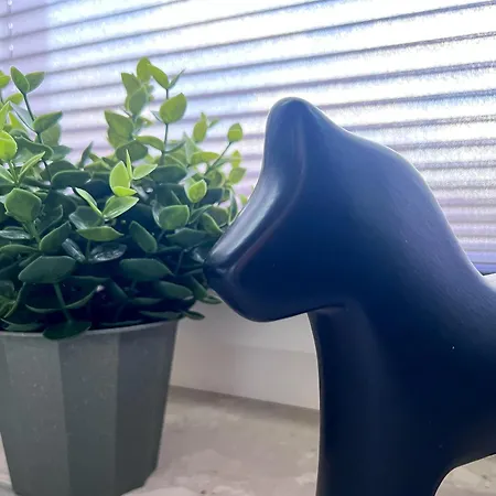 Stilvoll-fewo Mit Garten Spremberg