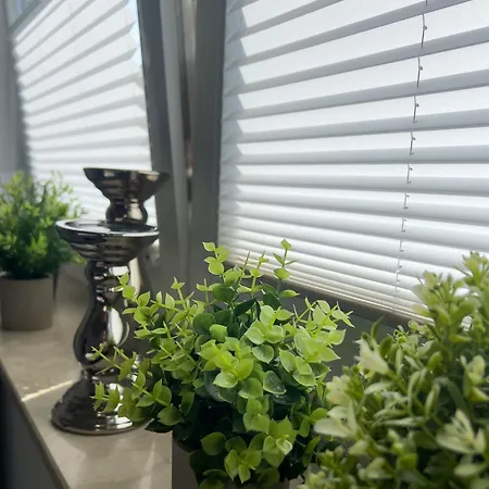 Stilvoll-fewo Mit Garten * Spremberg