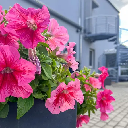 Stilvoll-fewo Mit Garten Spremberg