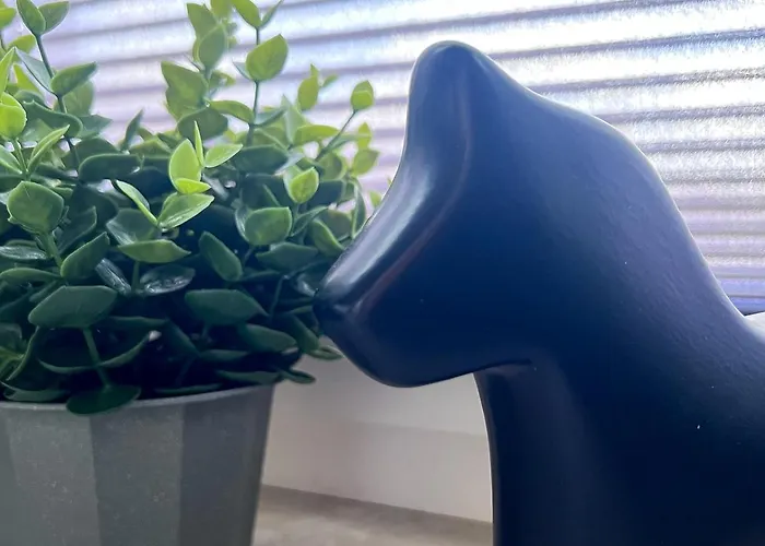 Stilvoll-fewo Mit Garten Spremberg