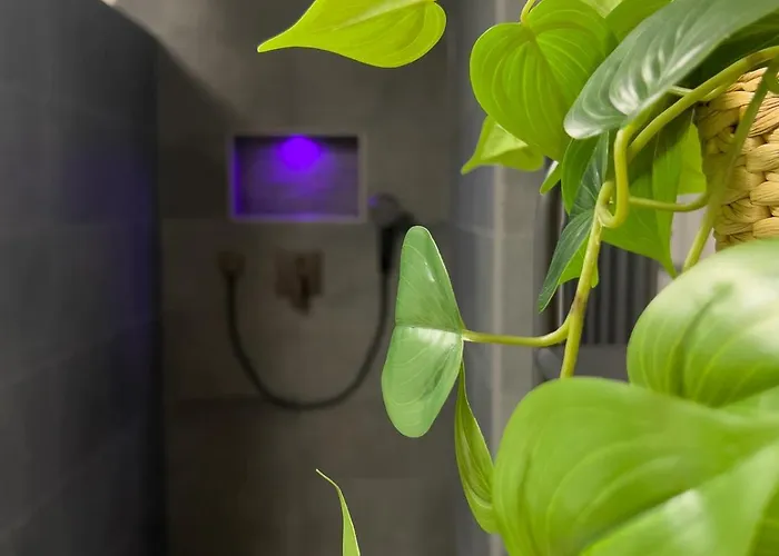 Stilvoll-fewo Mit Garten Apartamento Spremberg