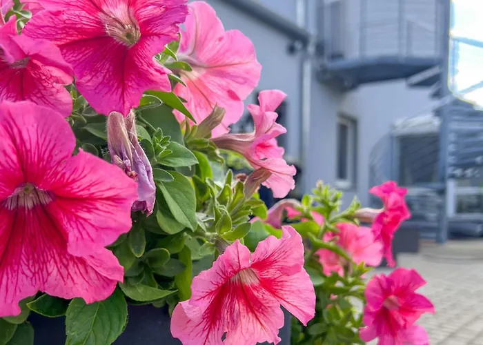 Stilvoll-fewo Mit Garten Spremberg