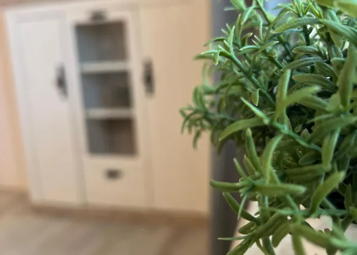 Stilvoll-fewo Mit Garten * Spremberg